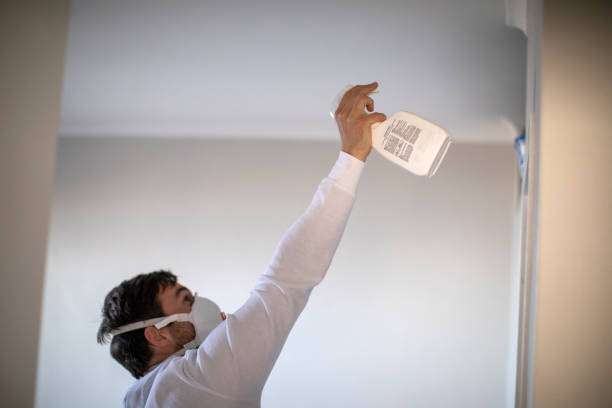 Best Localized Mold Remediation (e.g., coastal areas, humid climates) in Seco Mines, TX