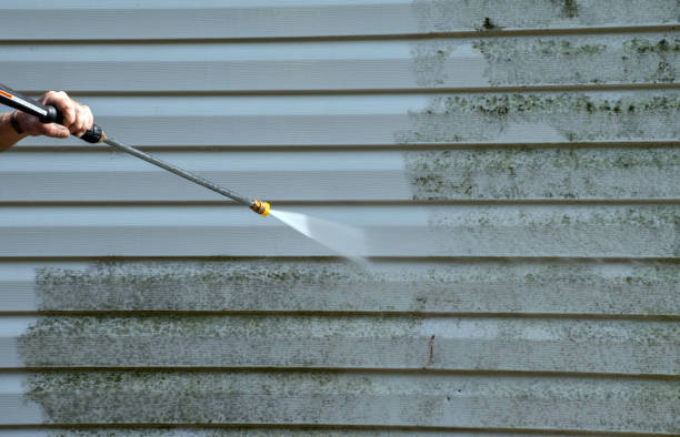 Best Mold Remediation for Specific Building Types in Seco Mines, TX